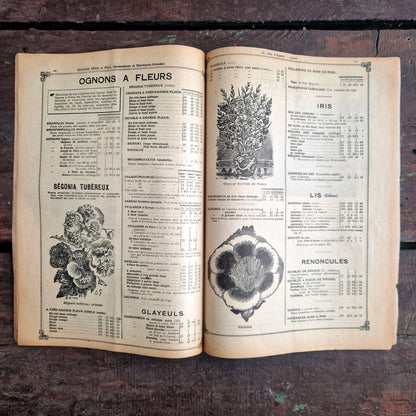 vintage seed catalogue rivoire 1922