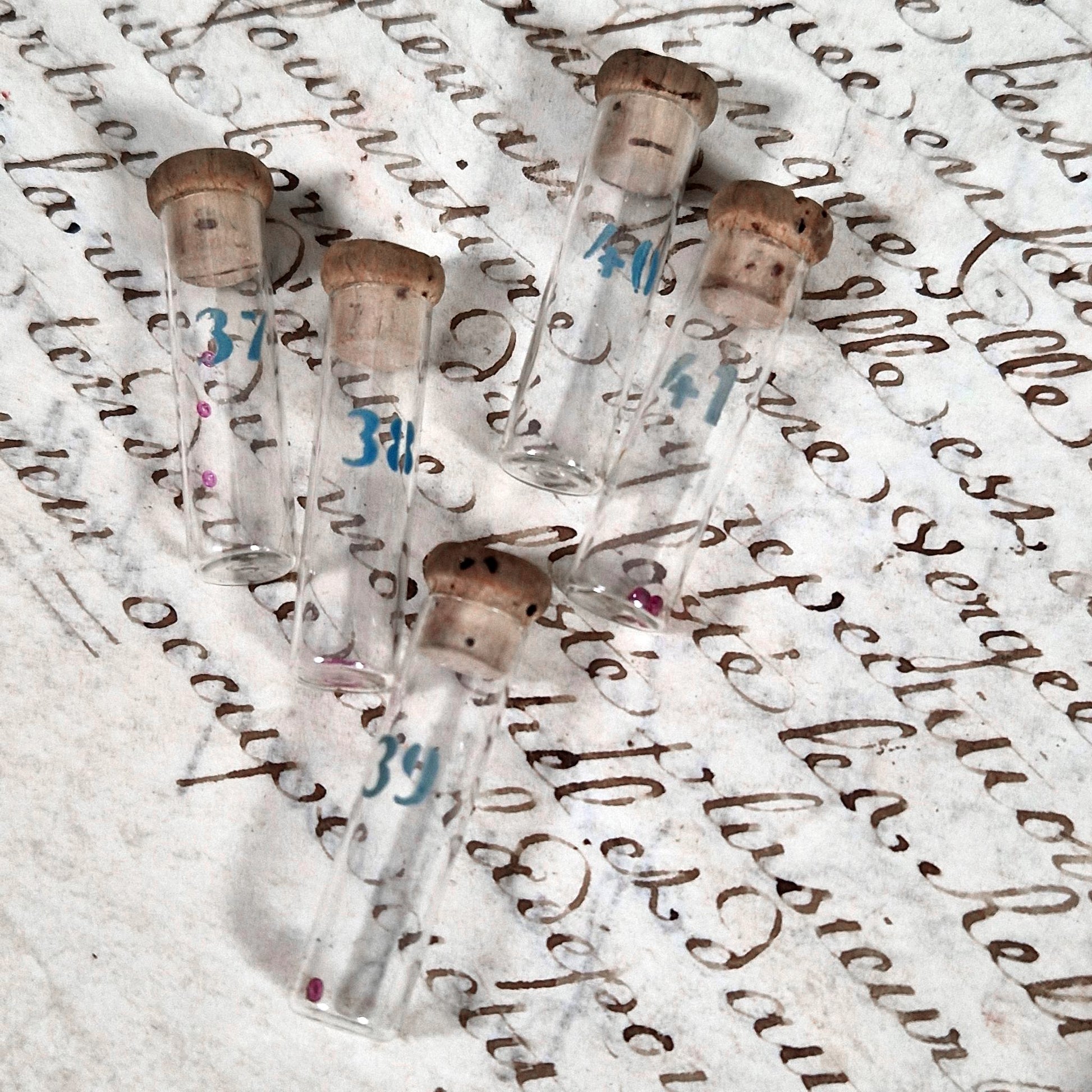 watchmakers ruby tray